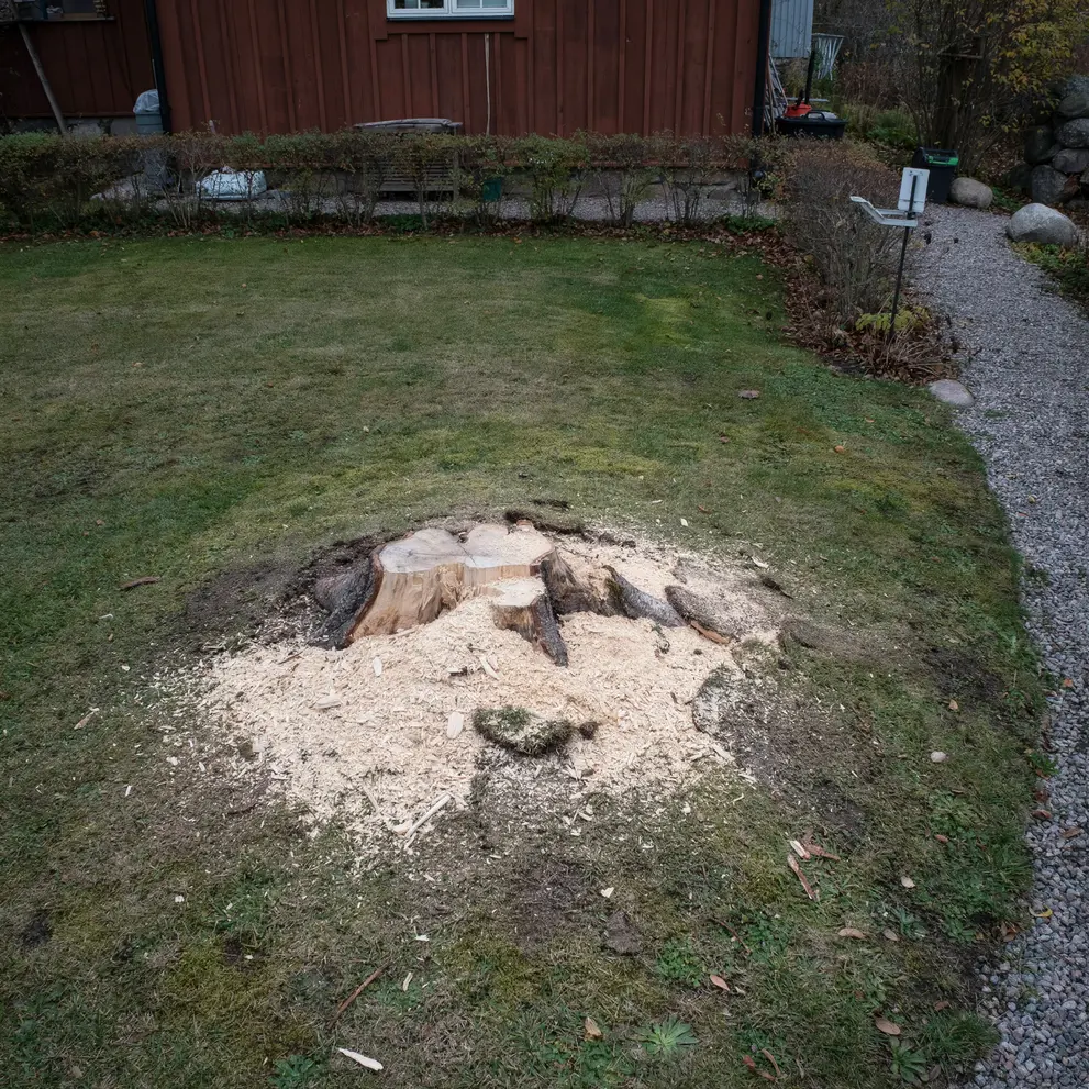 stubbfrasning svedala